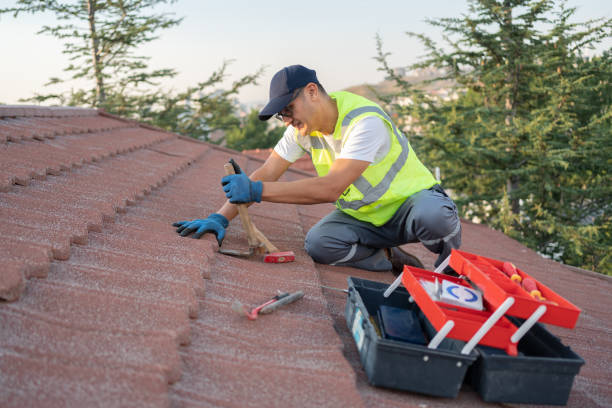 Best Roof Leak Repair  in East Merrimack, NH